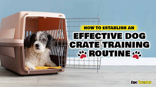 Crate deals training water