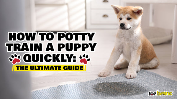 Potty train sale puppy fast