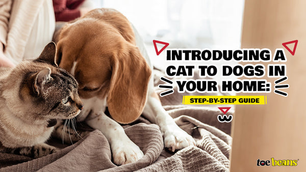 How to introduce a cat to a dog hot sale home