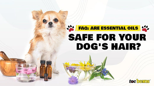 FAQ: Are Essential Oils Safe for Your Dog's Hair?