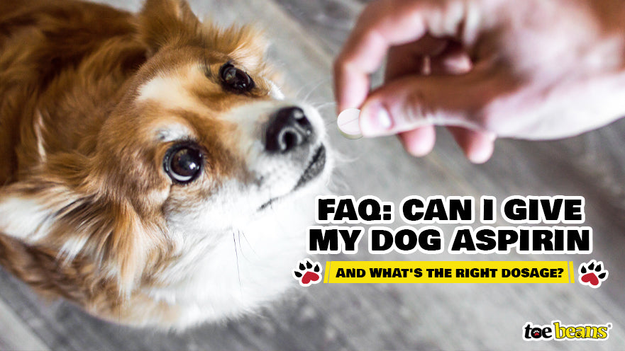 FAQ: Can I Give My Dog Aspirin and What's The Right Dosage? - toe beans