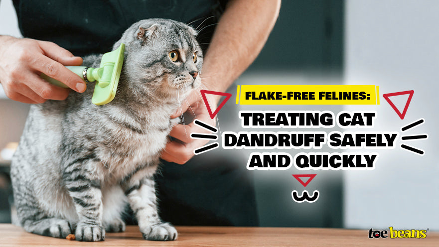 Flake Free Felines Treating Cat Dandruff Safely and Quickly toe beans