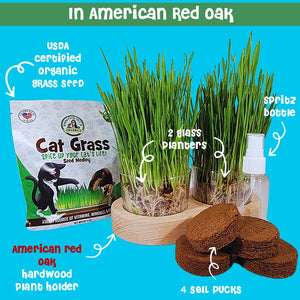 Cat Grass Growing Kit | Plus | USDA Organic Seeds | Grown in the USA