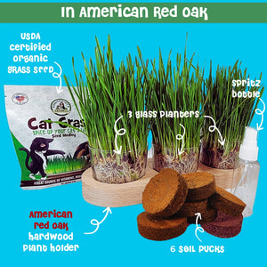 Cat grass American Red Oak planter ultimate kit