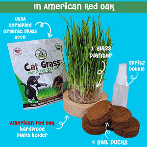 Cat Grass Growing Kit | Starter | USDA Organic Seeds | Grown in the USA