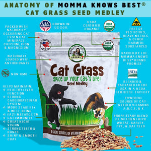 Cat grass for cats by Momma Knows Best