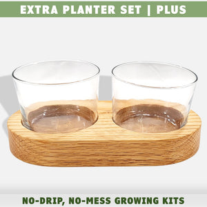 Cat grass growing kit extra planter set plus kit by momma knows best