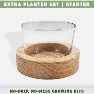 Cat grass growing kit extra planter set starter kit by momma knows best