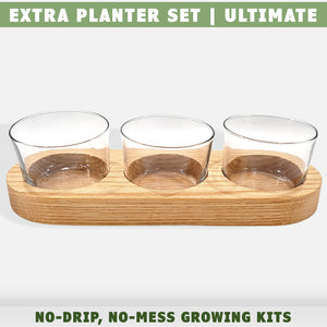 Cat grass growing kit extra planter set ultimate kit by momma knows best