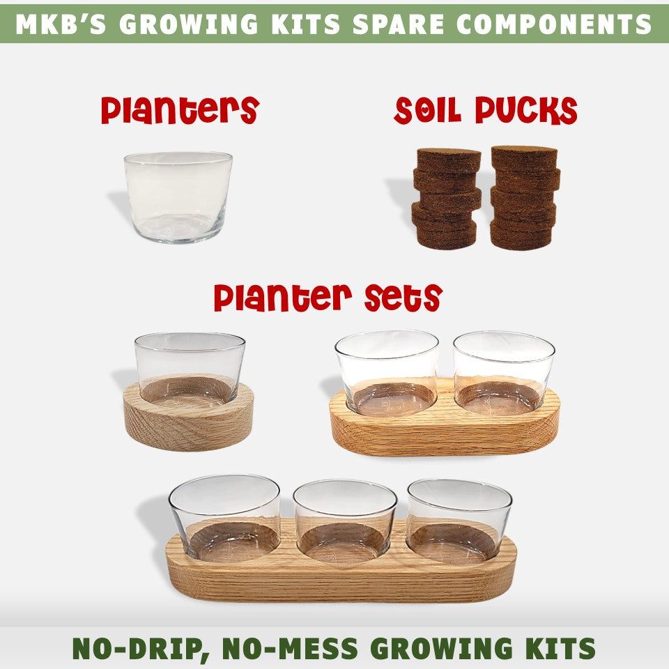 Cat grass growing kit spare parts by momma knows best