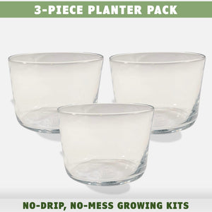 Cat grass growing kit spare planters by momma knows best