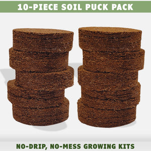 Cat grass growing kit spare soil pucks by momma knows best