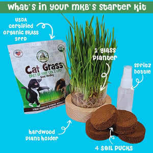 Cat grass growing kit