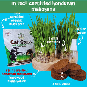 Cat Grass Growing Kit | Plus | USDA Organic Seeds | Grown in the USA