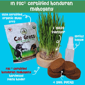 Cat Grass Growing Kit | Starter | USDA Organic Seeds | Grown in the USA