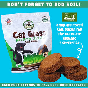 Cat grass seeds growing kit