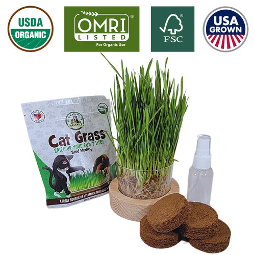 Cat Grass Growing Kit | Starter | USDA Organic Seeds | Grown in the USA