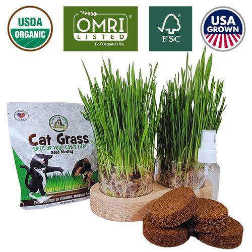 Cat Grass Growing Kit | Plus | USDA Organic Seeds | Grown in the USA