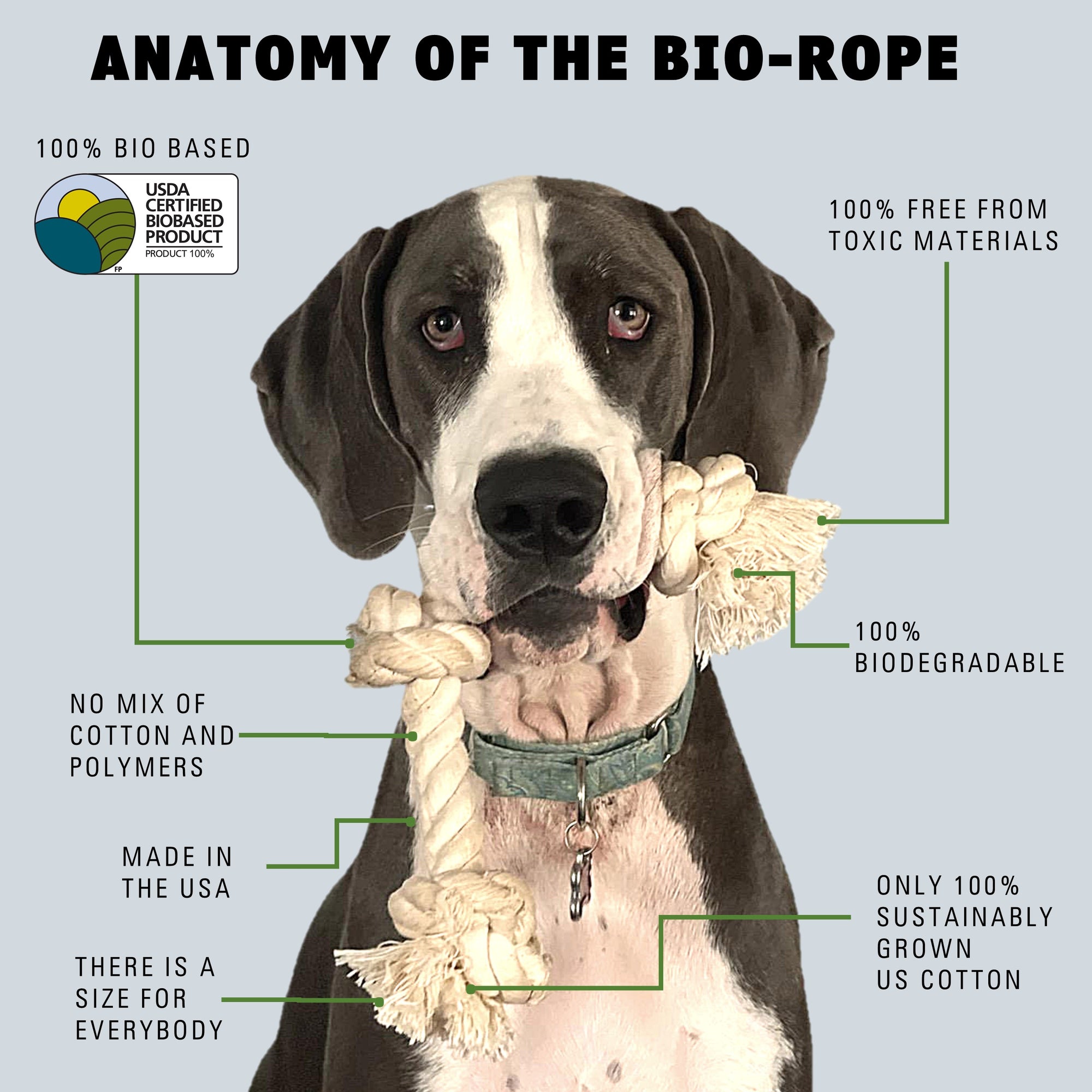 Dog holding the Bio-Rope dog rope toy in his mouth with key product attributes by EarthCare®