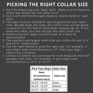 How to pick the right dog collar size by toe beans