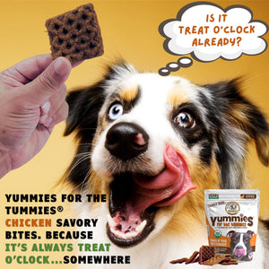 A dog with mouth open looking at a natural dog chicken jerky treat Yummies for the Tummies by Momma Knows Best