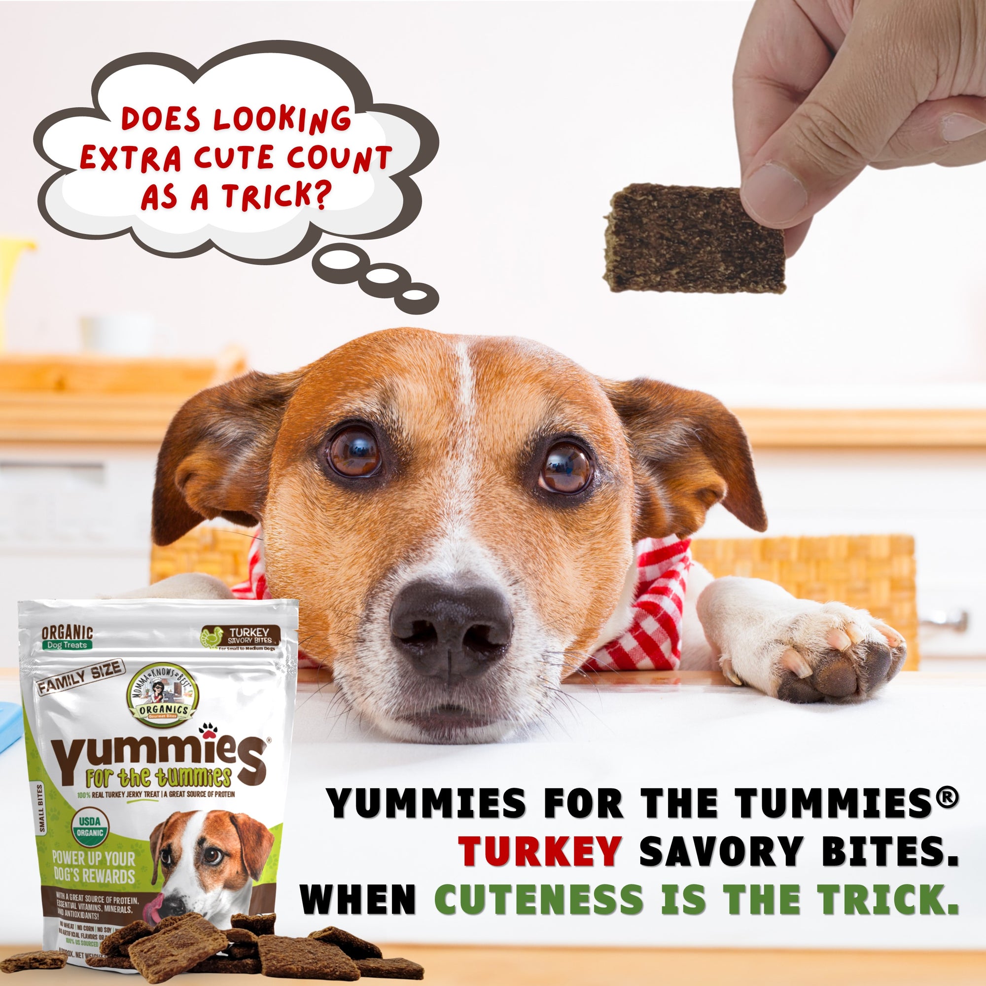 Organic turkey dog treat yummies for the tummies by Momma Knows Best