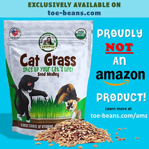 USDA Organic cat grass AMZ