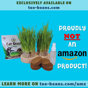 USDA organic cat grass AMZ