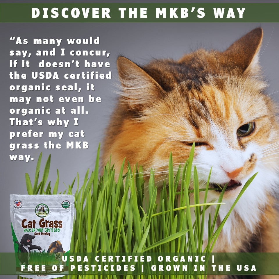 USDA organic cat grass