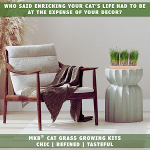 cat grass decorative growing kit by earthcare