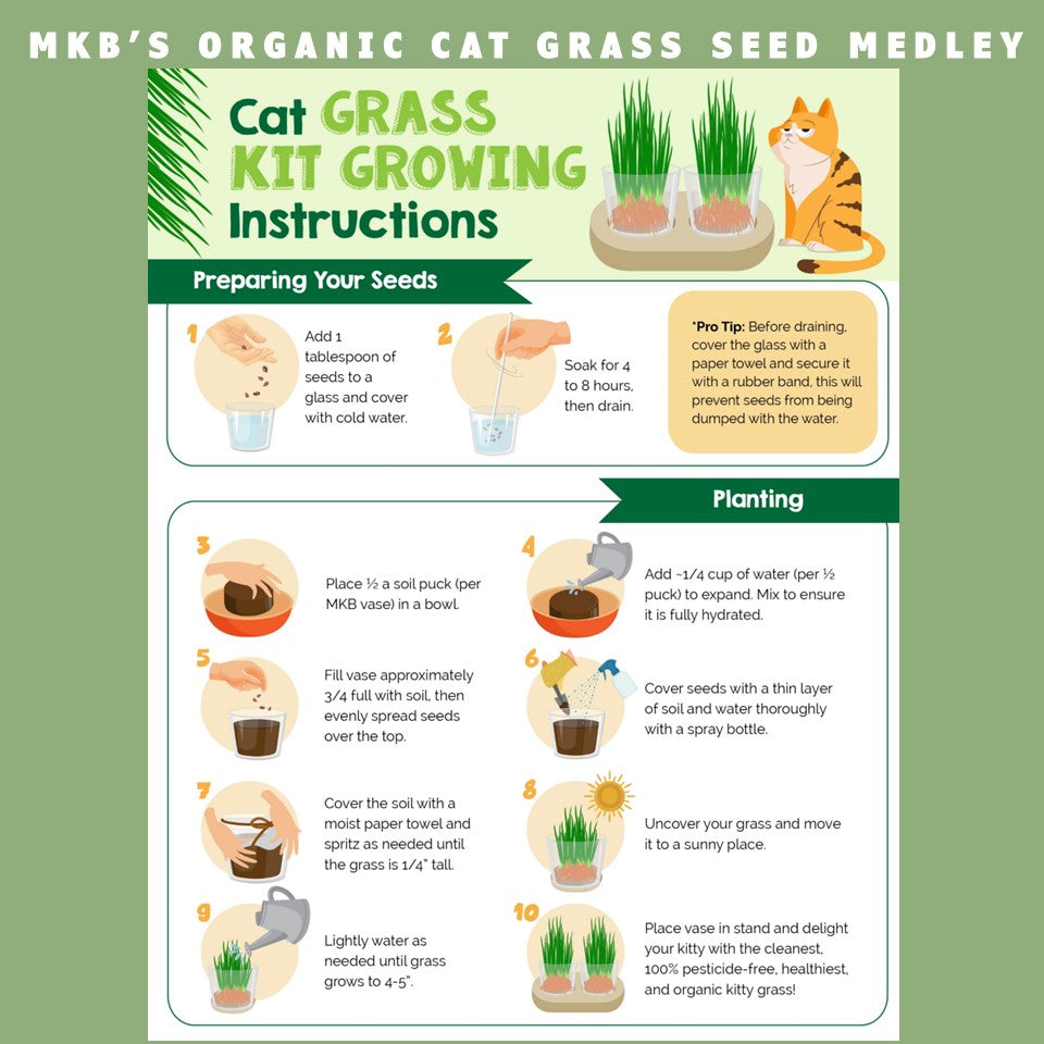 cat grass growing kit instructions by momma knows best