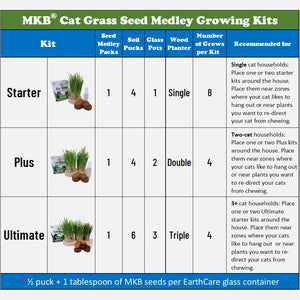 cat grass growing kits by momma knows best