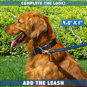 dog leash and collar by toe beans complete the look 2