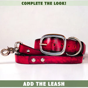 dog leash and collar red by toe beans