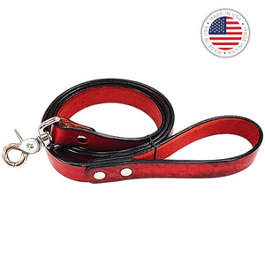 dog leash red by toe beans