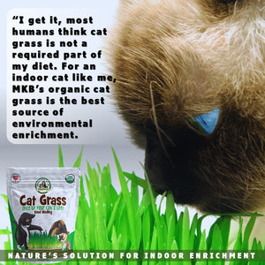 grass for cats to eat