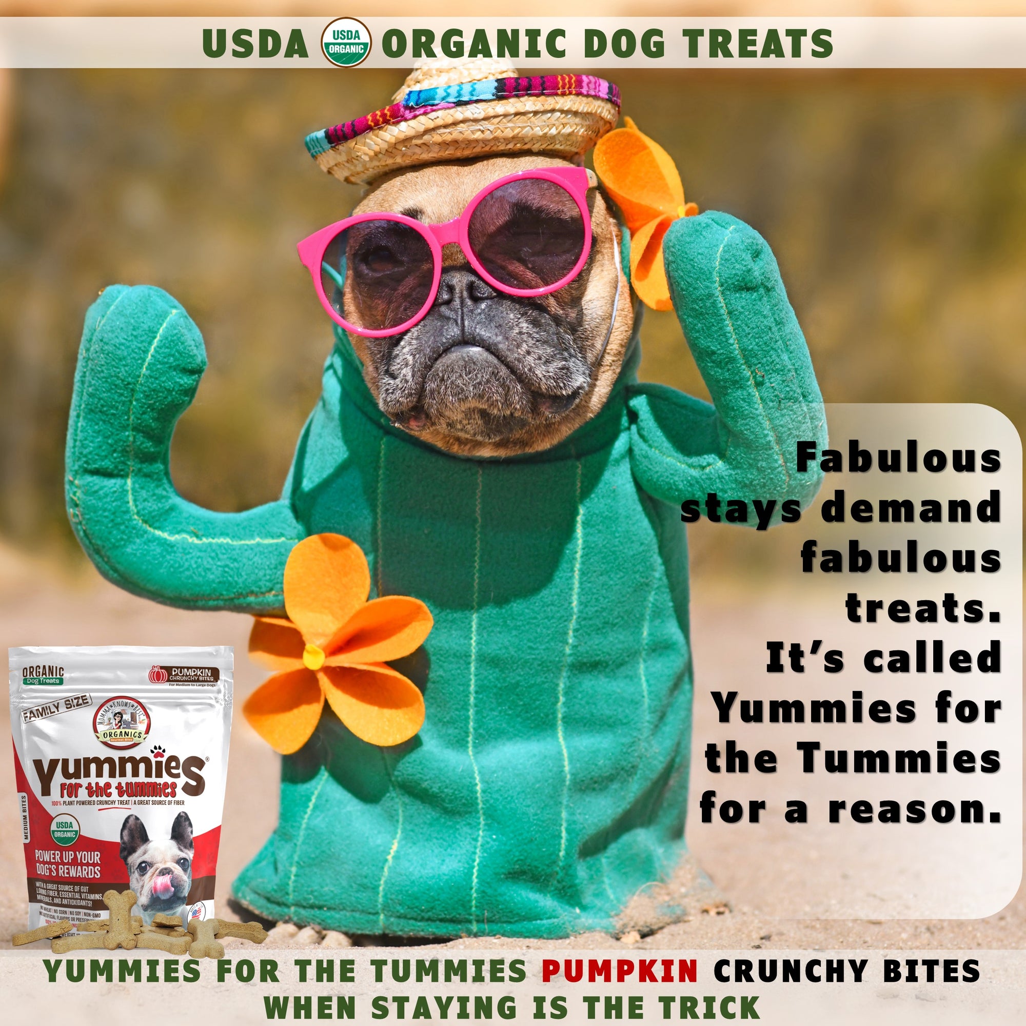 healthy pumpkin dog treats yummies for the tummies by momma knows best