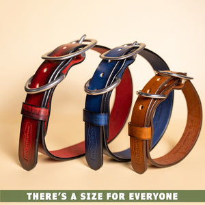 leather dog collars and leashes by toe beans