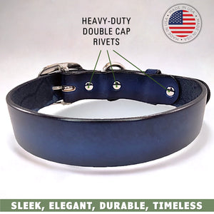 leather dog collar blue features by toe beans 2