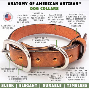 leather dog collar brown features by toe beans