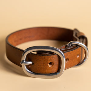 leather dog collar by toe beans