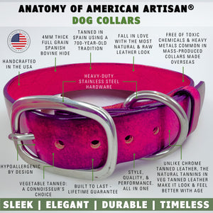 leather dog collar red features by toe beans