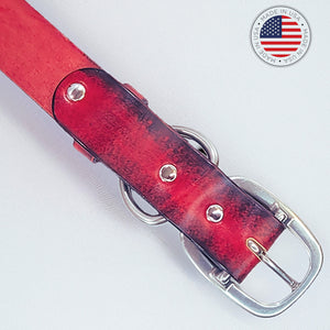 leather dog collar red hardware by toe beans