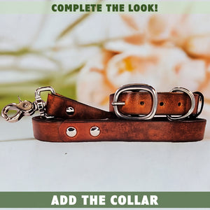 leather dog leash and collar brown by toe beans