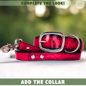 leather dog leash and collar red by toe beans