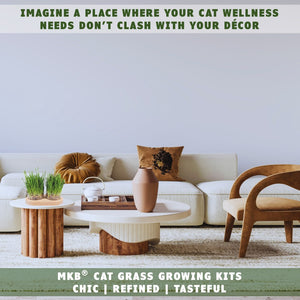 organic cat grass decorative growing kit