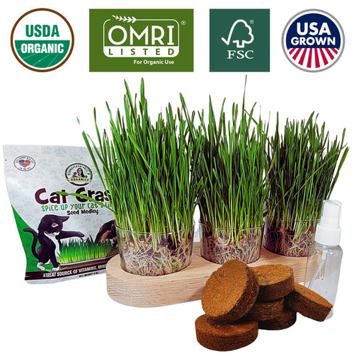 Cat Grass Growing Kit | Ultimate | USDA Organic Seeds | Grown in the USA