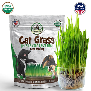 Organic cat grass