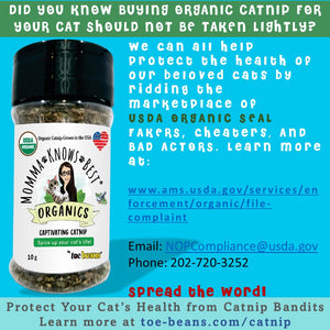 organic catnip by Momma Knows Best Organics