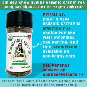 organic catnip